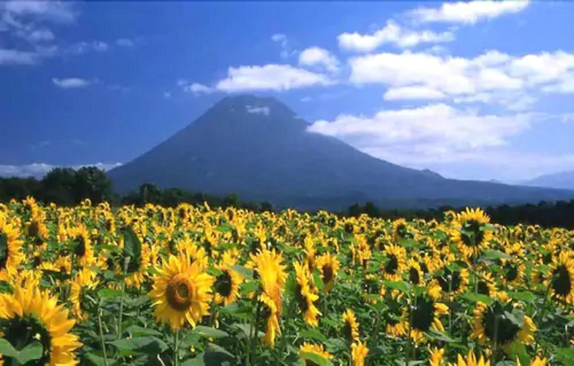 Niseko Prince Hotel Hirafutei Exterior foto