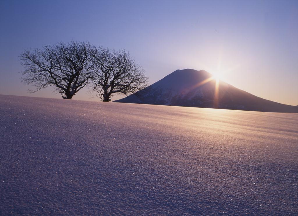 Niseko Prince Hotel Hirafutei Exterior foto